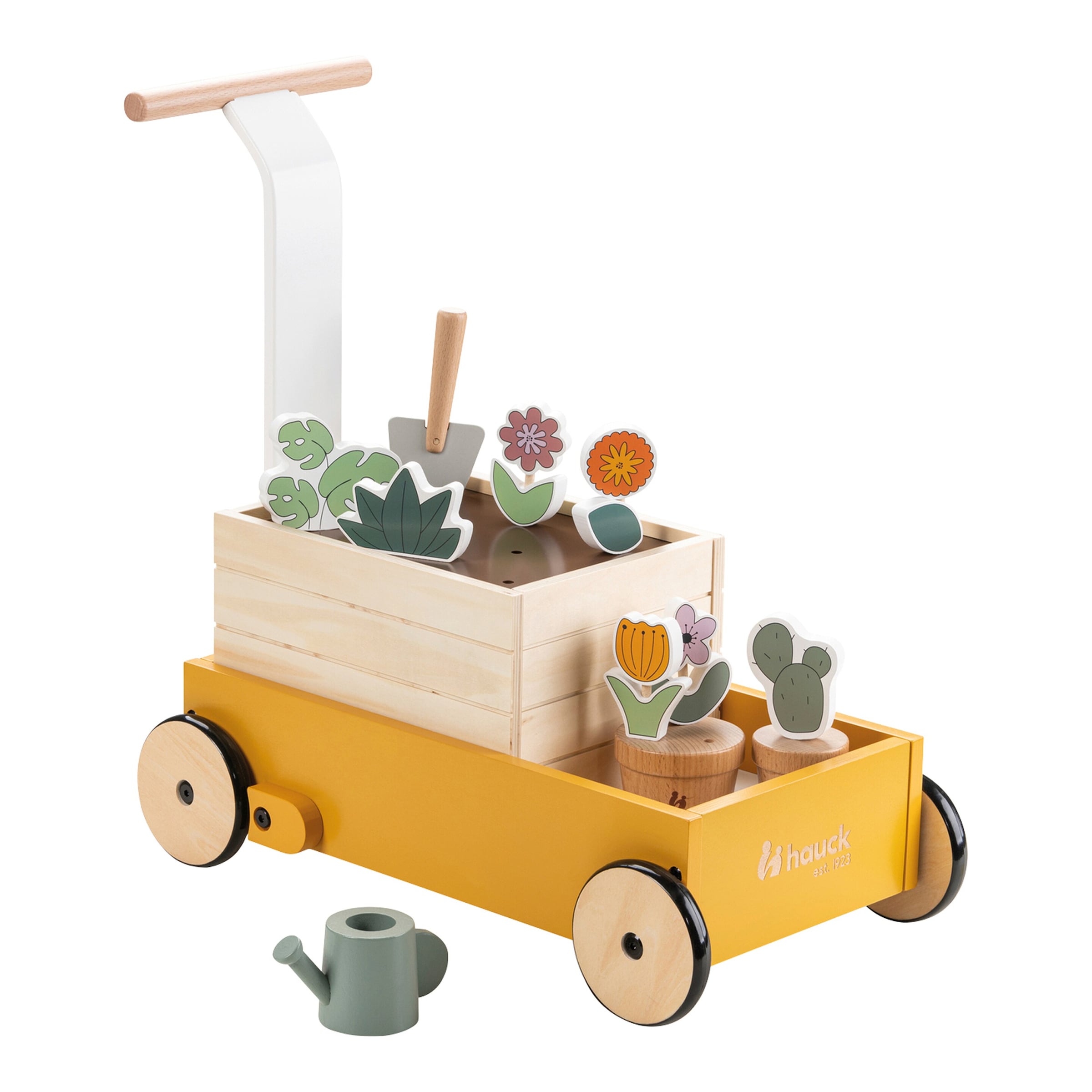 Hauck Lauflernwagen Learn to Walk