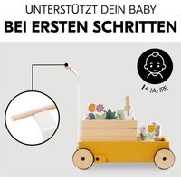 Hauck Lauflernwagen Learn to Walk