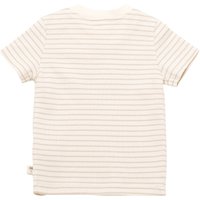 Bornino Sunny Adventure T-Shirt Ringel Zebra